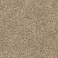 feature value image