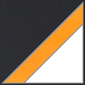 feature value image