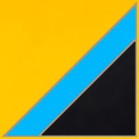feature value image
