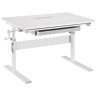 Компьютерные столы Парта растущая E601 белый