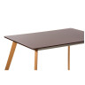Ламинированные столы T-14 Стол обеденный КОРИЧНЕВЫЙ 120*80 см, столешница МДФ, основание бук Ламинированные столы T-14 Стол обеденный КОРИЧНЕВЫЙ 120*80 см, столешница МДФ, основание бук
