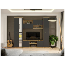 Бертелена дуб крафт серый / серый графит Готовая гостиная