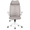 Офисные кресла Lokus light gray