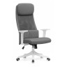 Офисные кресла Salta gray / white