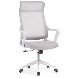 Недорогие компьютерные кресла. Компьютерное кресло Rino light gray / white