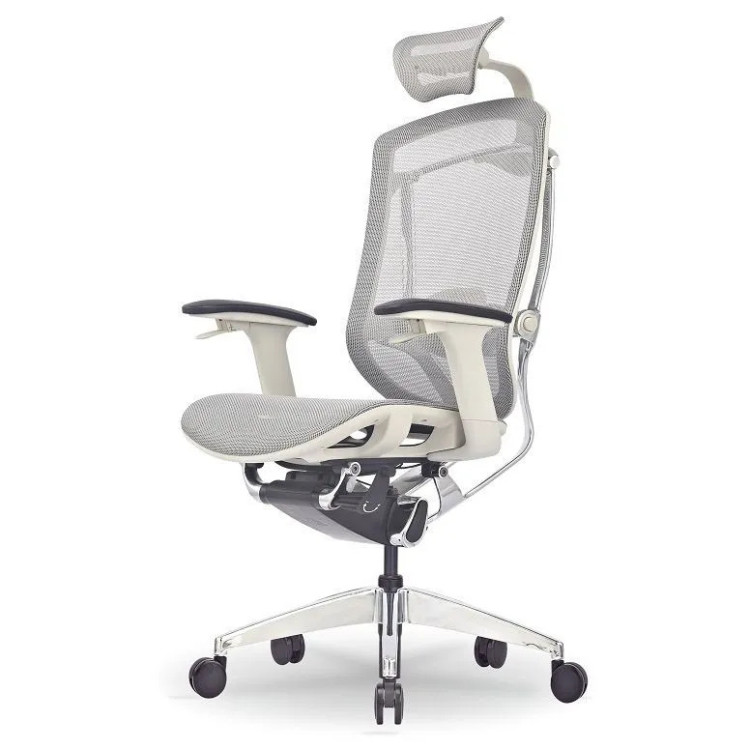 Компьютерные кресла Премиум эргономичное кресло GT Chair Isee X, серый