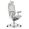 Компьютерные кресла Премиум эргономичное кресло GT Chair Isee X, серый
