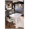 Столы BONTEMPI Стол WONDER (20.48) 170/250*100*75 см (M089/C150) Bontempi