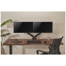Кронштейны для монитора Кронштейн для монитора FoxGear LDT13-C024UE Dual