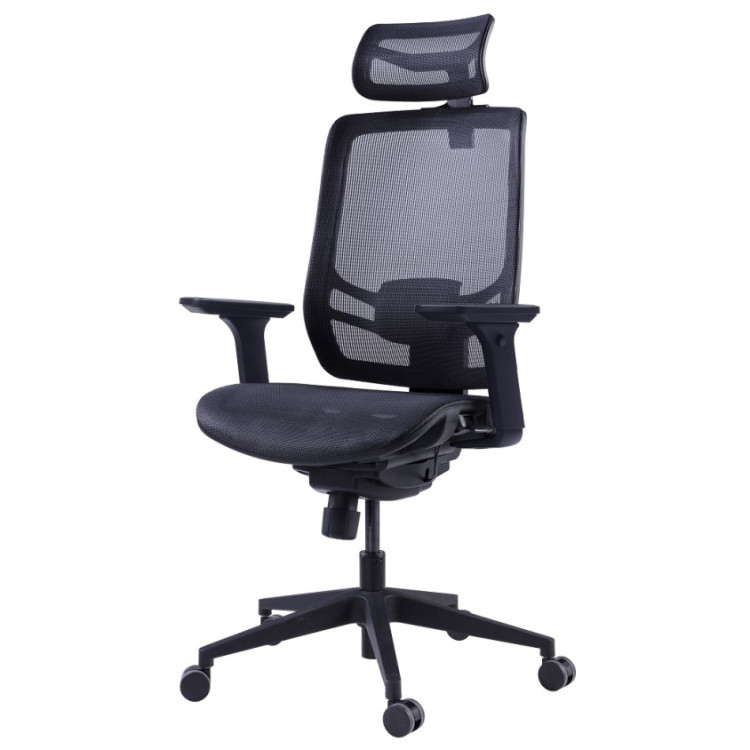 Офисные кресла Премиум эргономичное кресло GT Chair InFlex M, черный