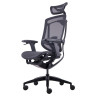 Офисные кресла Премиум эргономичное кресло GT Chair InFlex M, черный