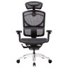 Компьютерные кресла Премиум эргономичное кресло GT Chair Isee X, черный