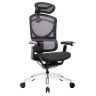 Компьютерные кресла Премиум эргономичное кресло GT Chair Isee X, черный