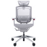 Компьютерные кресла Премиум эргономичное кресло GT Chair Marrit X Pro, серый