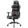 Геймерские кресла Компьютерное кресло (для геймеров) Eureka Hector, серый