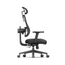 Компьютерные кресла Эргономичное компьютерное кресло FoxGear NETZ One, DGBK, чёрный