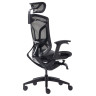 Премиум эргономичное кресло GT CHAIR DVARY X, чёрный