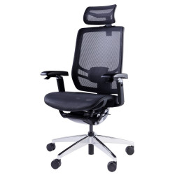 Премиум эргономичное кресло GT Chair InFlex X, черный