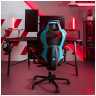 Геймерские кресла Эргономичное компьютерное кресло (для геймеров) Eureka TYPHON, Blue