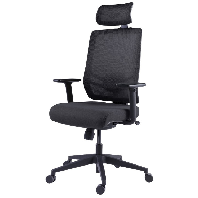 Компьютерные кресла Премиум эргономичное кресло GT Chair InFlex Z, черный
