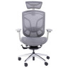 Компьютерные кресла Премиум эргономичное кресло GT Chair Dvary X, серый