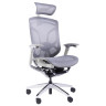 Компьютерные кресла Премиум эргономичное кресло GT Chair Dvary X, серый