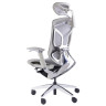 Компьютерные кресла Премиум эргономичное кресло GT Chair Dvary X, серый
