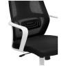 Офисные кресла Golem black / white