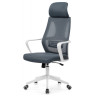 GOLEM компьютерное кресло с обивкой сеткой, цвет темно-серый / белый 