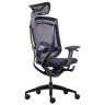Компьютерные кресла Премиум эргономичное кресло GT Chair Marrit X, черный