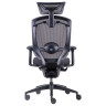 Компьютерные кресла Премиум эргономичное кресло GT Chair Marrit X, черный