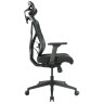 Компьютерные кресла Премиум игровое кресло GT Chair VIDA Z GR, черный