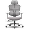 Компьютерные кресла Эргономичное компьютерное кресло FoxGear NETZ модель XO - office edition, серый