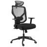 Компьютерные кресла Премиум эргономичное кресло GT Chair VIDA Z, черный