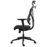 Компьютерные кресла Премиум эргономичное кресло GT Chair VIDA Z, черный