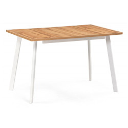 КОЛОН ЛОФТ 120 дуб вотан / белый матовый