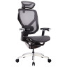 Компьютерные кресла Премиум эргономичное кресло GT Chair VIDA X, черный