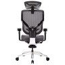 Компьютерные кресла Премиум эргономичное кресло GT Chair VIDA X, черный