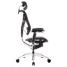 Компьютерные кресла Премиум эргономичное кресло GT Chair VIDA X, черный