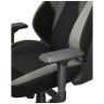 Игровые кресла Премиум игровое кресло KARNOX HUNTER Bad Guy Edition, серый