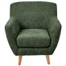 Лаунж-кресла Кресло Picasso зелёный, шенилл