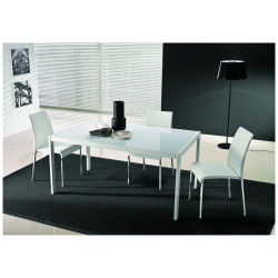 Стол LEO (42.52)160/210/260*90*Н75 см (М310/M310/С196 гл.ст в цв.антр/L045 антр)