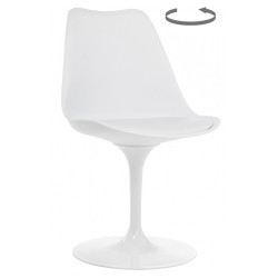 Tulip white
