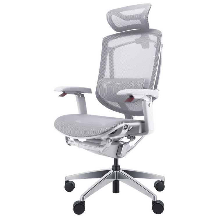 Компьютерные кресла Премиум эргономичное кресло GT Chair Marrit Pro X, серый