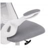 Офисные кресла Salem gray / white