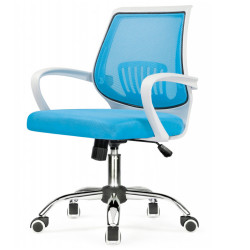 ERGOPLUS blue / white