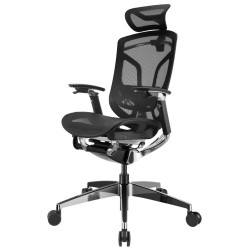 Премиум эргономичное кресло GT Chair Dvary Pro X, чёрный