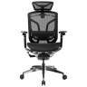 Компьютерные кресла Премиум эргономичное кресло GT Chair Dvary Pro X, чёрный