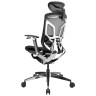 Компьютерные кресла Премиум эргономичное кресло GT Chair Dvary Pro X, чёрный