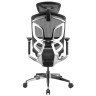 Компьютерные кресла Премиум эргономичное кресло GT Chair Dvary Pro X, чёрный